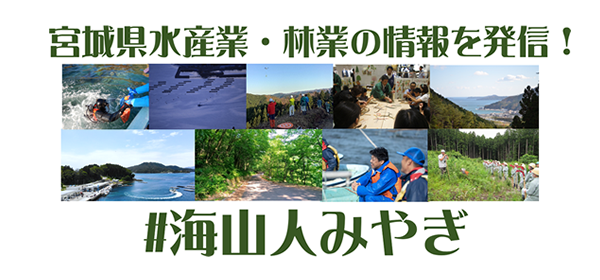 宮城県水産業・林業の情報を発信！＃海山人みやぎ